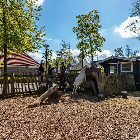 Cozy 25 Km From Amsterdam * Velsen-Zuid
